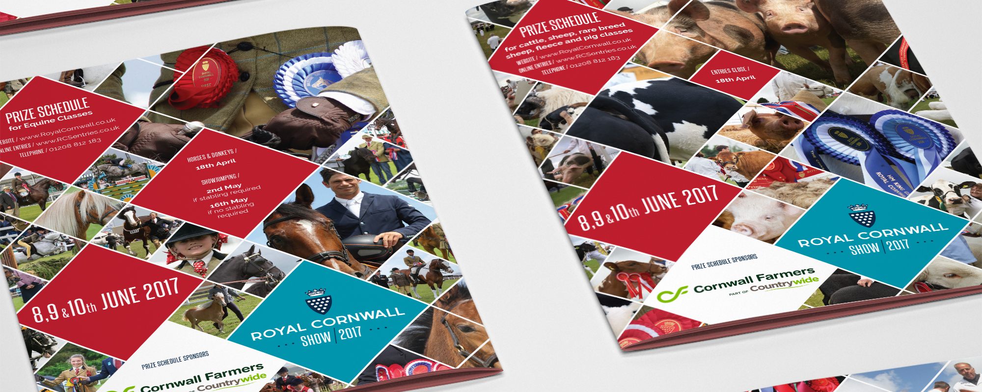 Royal Cornwall Show Leaflet Design