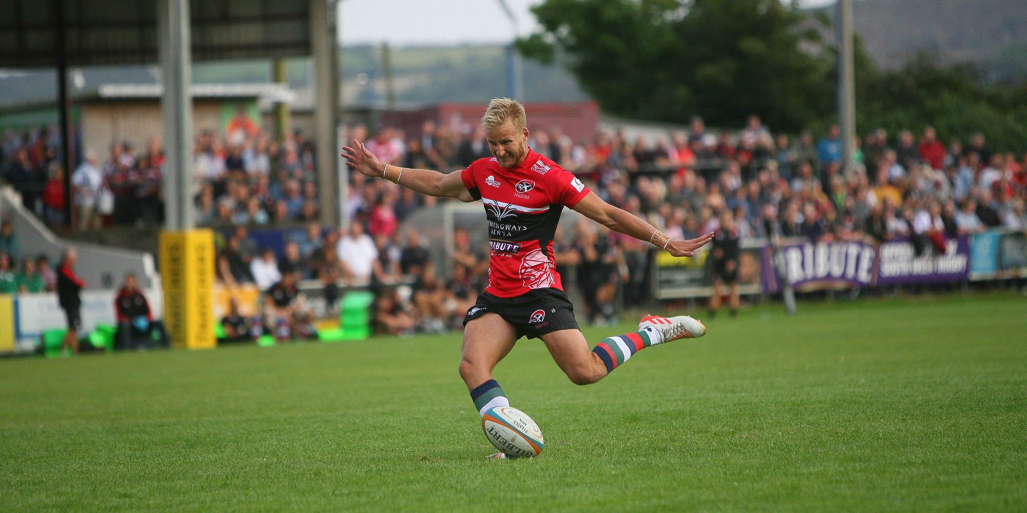 Cornish Pirates Wordpress Website Design Project